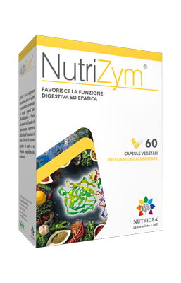 NUTRIZYM 60 CAPSULE