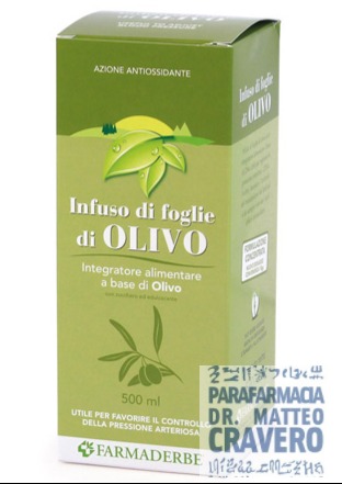 OLIVO INFUSO FOGLIE 500ML