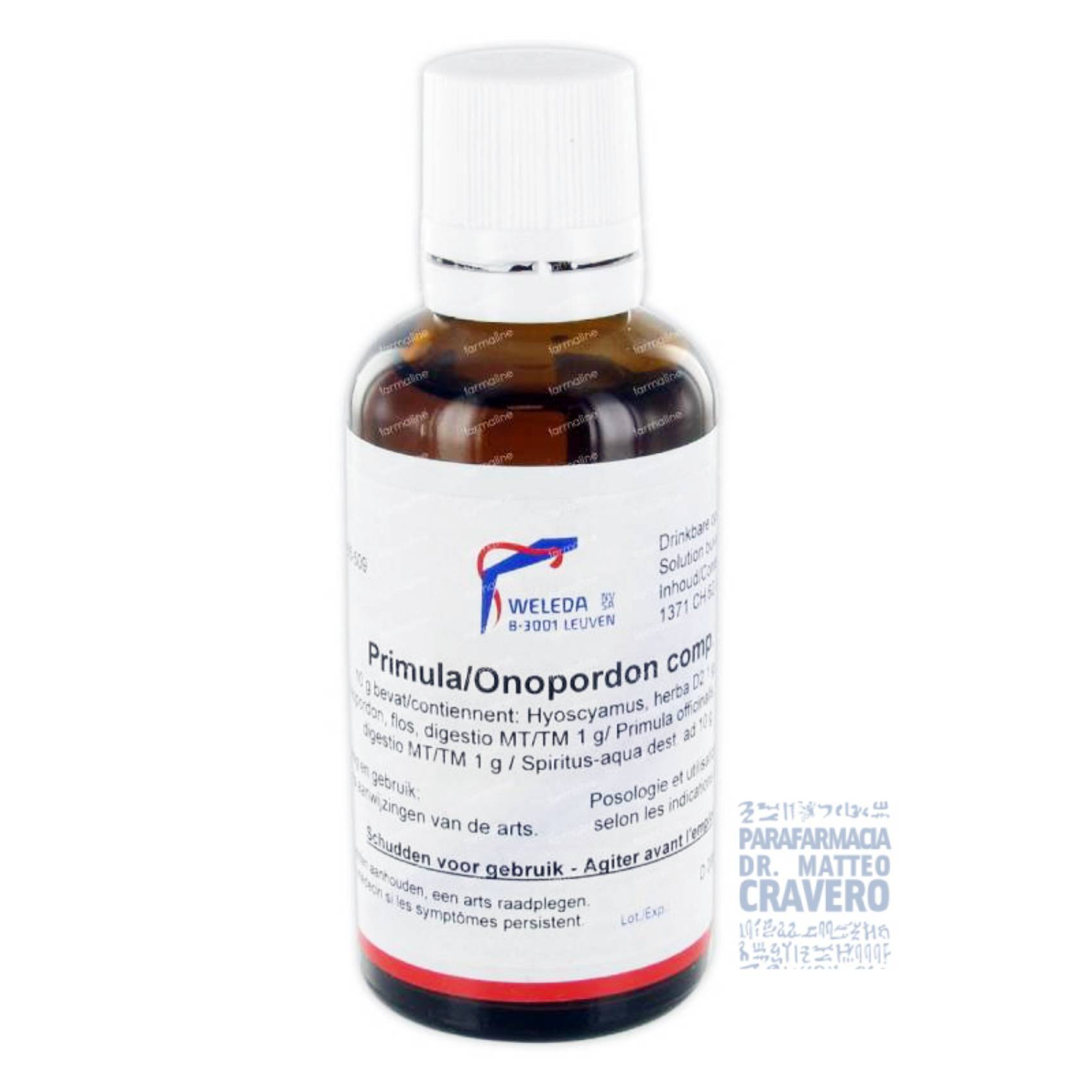 Onopordon Primula comp. 50ml Gocce
