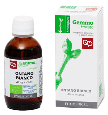 ONTANO BIANCO Macerato Glicerico 50ML BIO