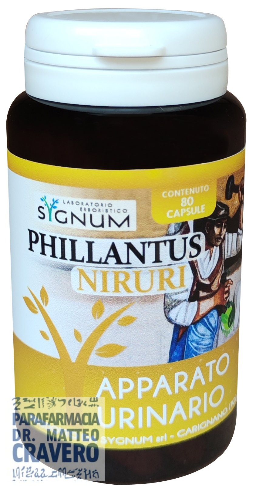 PHILLANTUS NIRURI 80 COMPRESSE