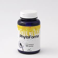 PHYTOFORMA 60 Capsule