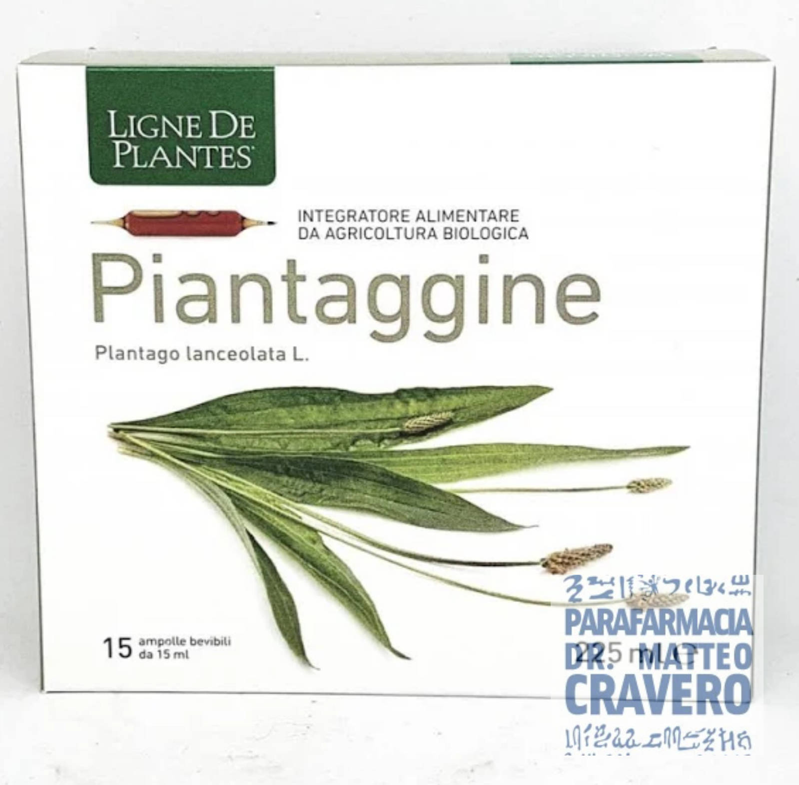 PIANTAGGINE 15 Ampolle 15ml