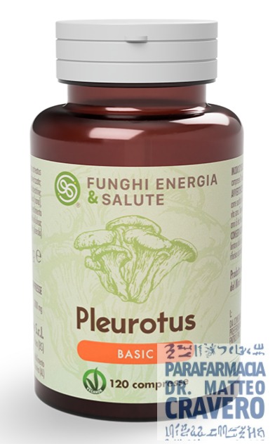 PLEUROTUS BASIC 120 COMPRESSE