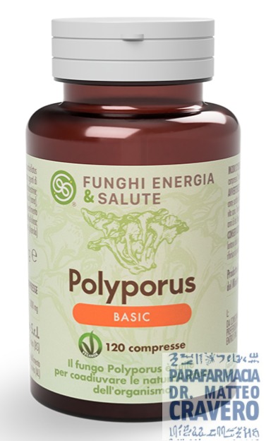 POLYPORUS BASIC 120 COMPRESSE