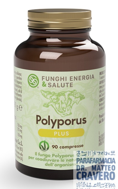 POLYPORUS PLUS 90 COMPRESSE