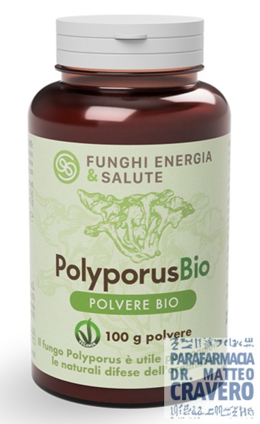 POLYPORUS POLVERE BIO 100 GRAMMI