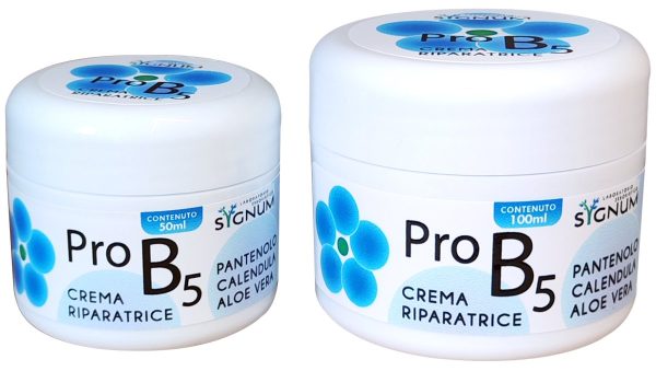 PRO B5 100 GRAMMI