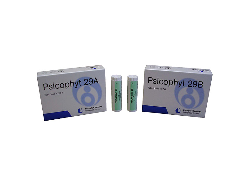 PSICOPHYT REMEDY 29A 4 GLOBULI 1,2G
