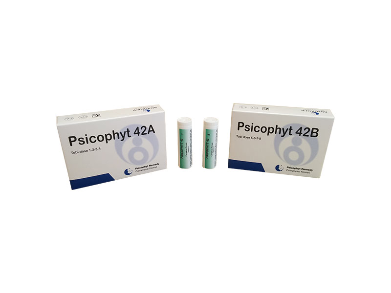 PSICOPHYT REMEDY 42B 4 GLOBULI 1,2G