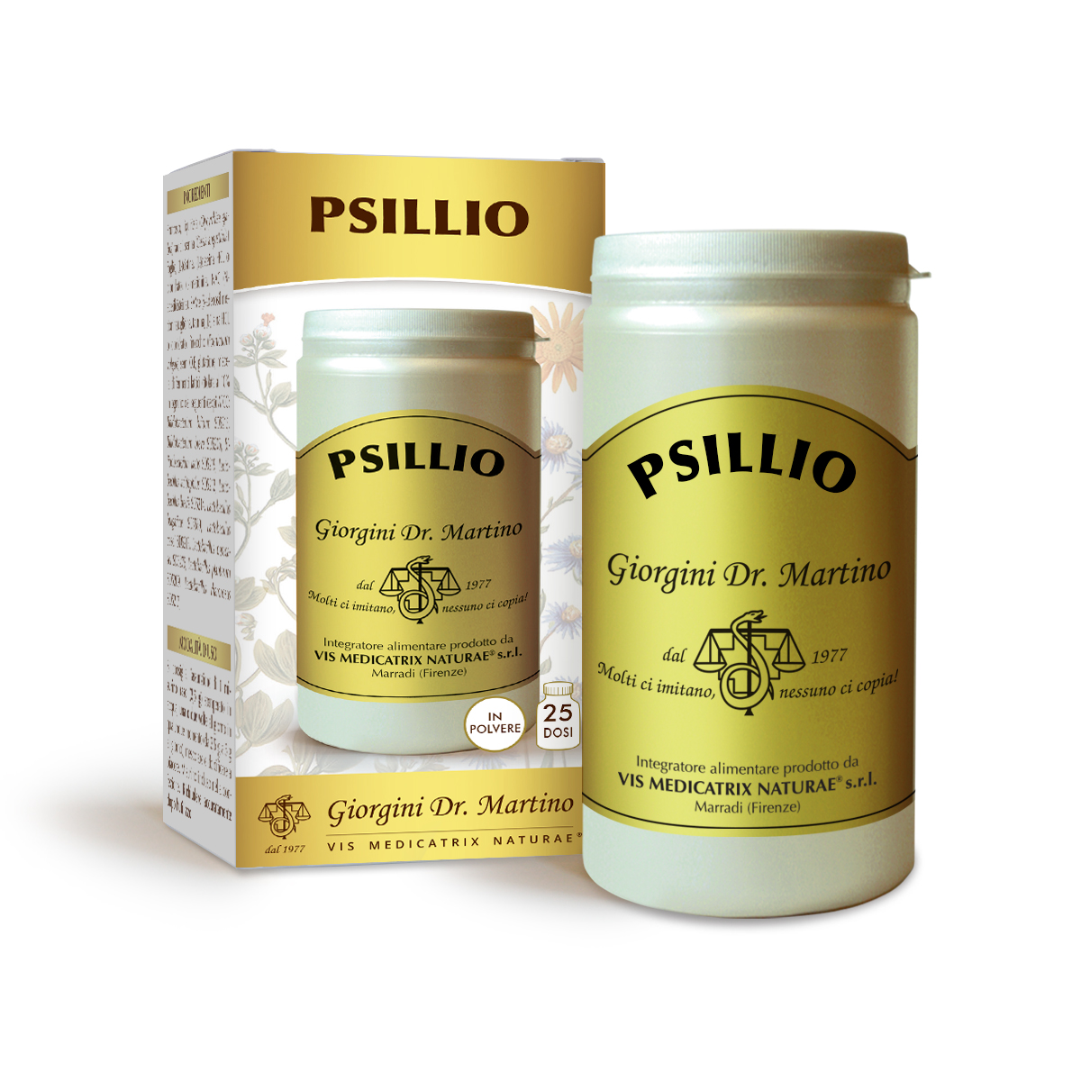 PSILLIO POLVERE 100 GRAMMI