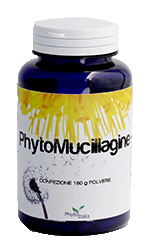 PHYTOMUCILLAGINE POLVERE 180 grammi