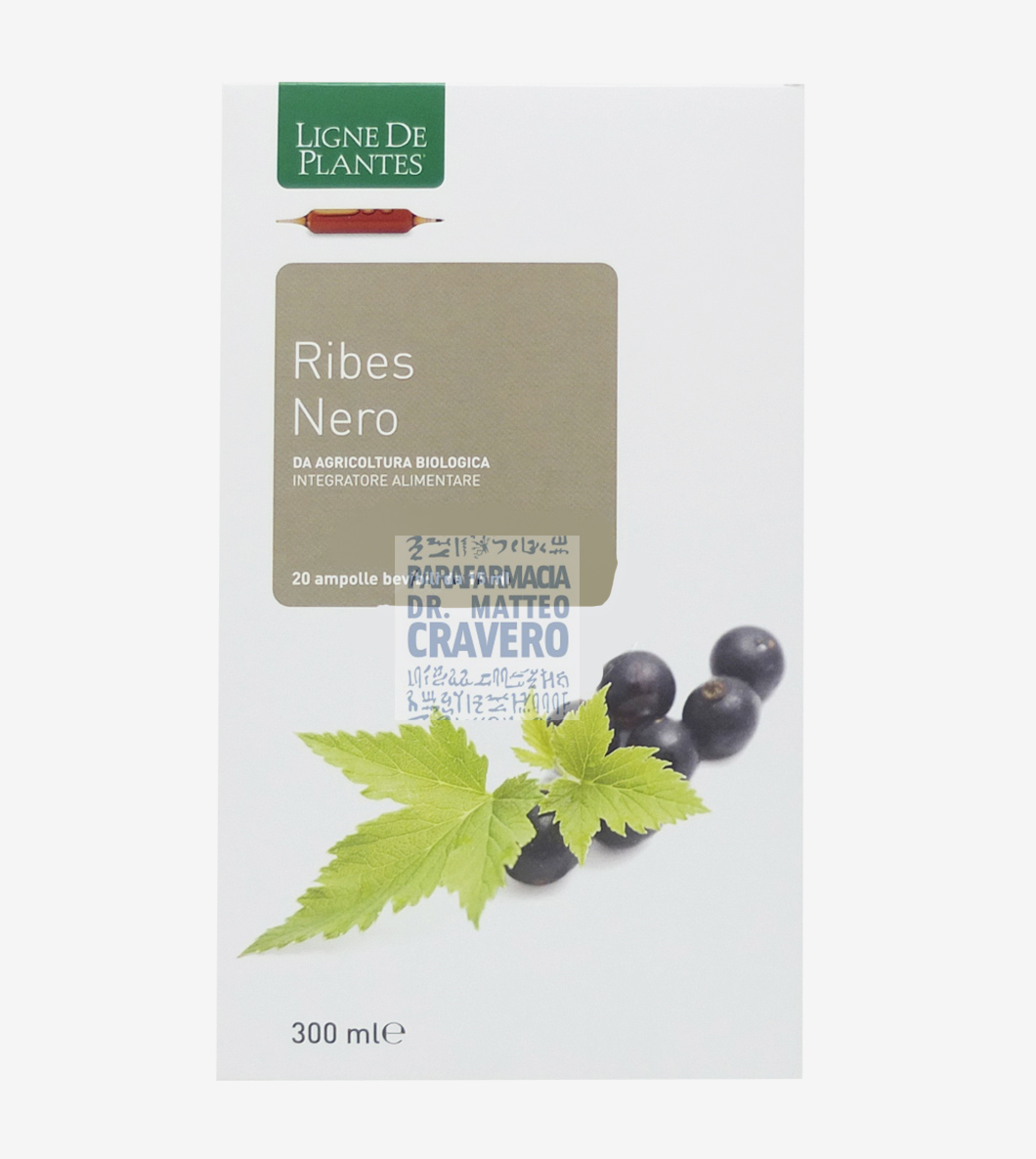 Ribes nero bio 20 ampolle 15ml