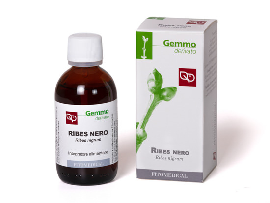 RIBES NERO Macerato Glicerico 500ML