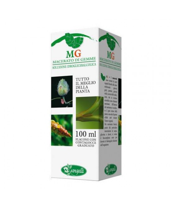 RIBES NIGRUM 100ML MG