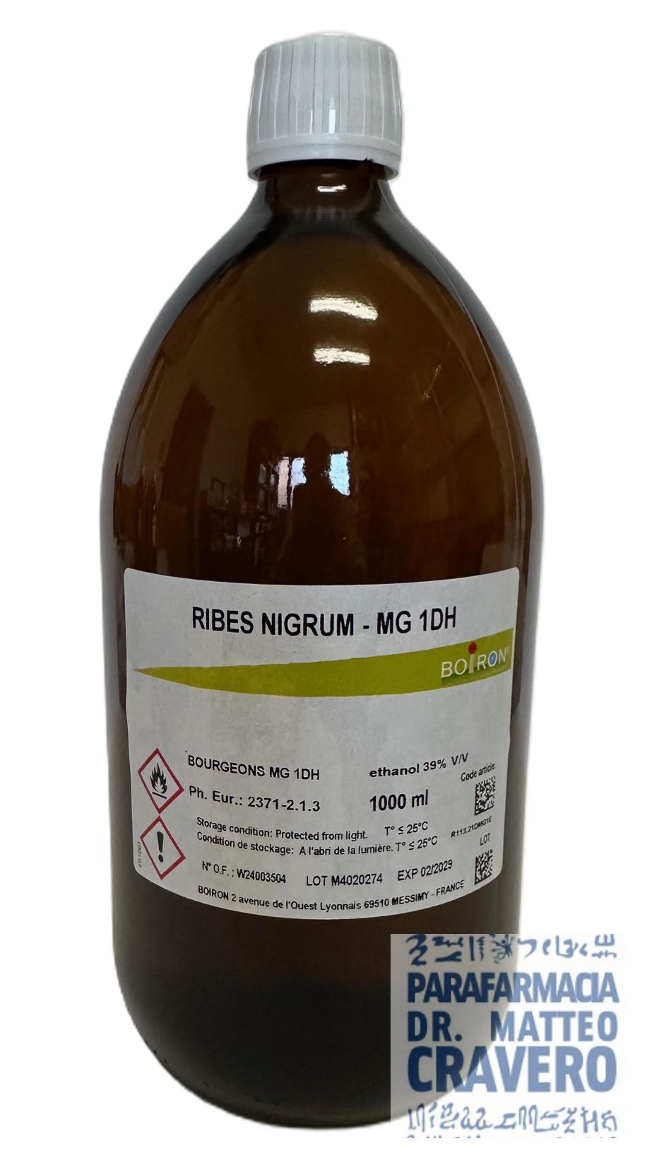 Ribes Nigrum Macerato glicerico 10% 1 litro