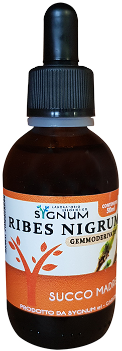 RIBES NIGRUM SUCCO MADRE 50ML