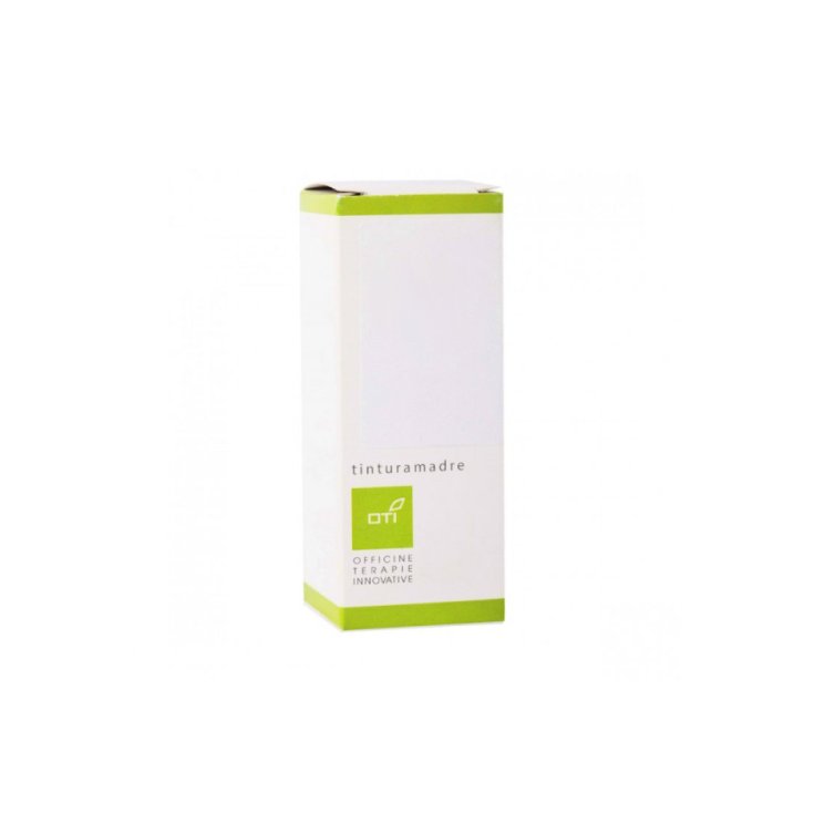 SAMBUCO TINTURA MADRE GOCCE 100ML