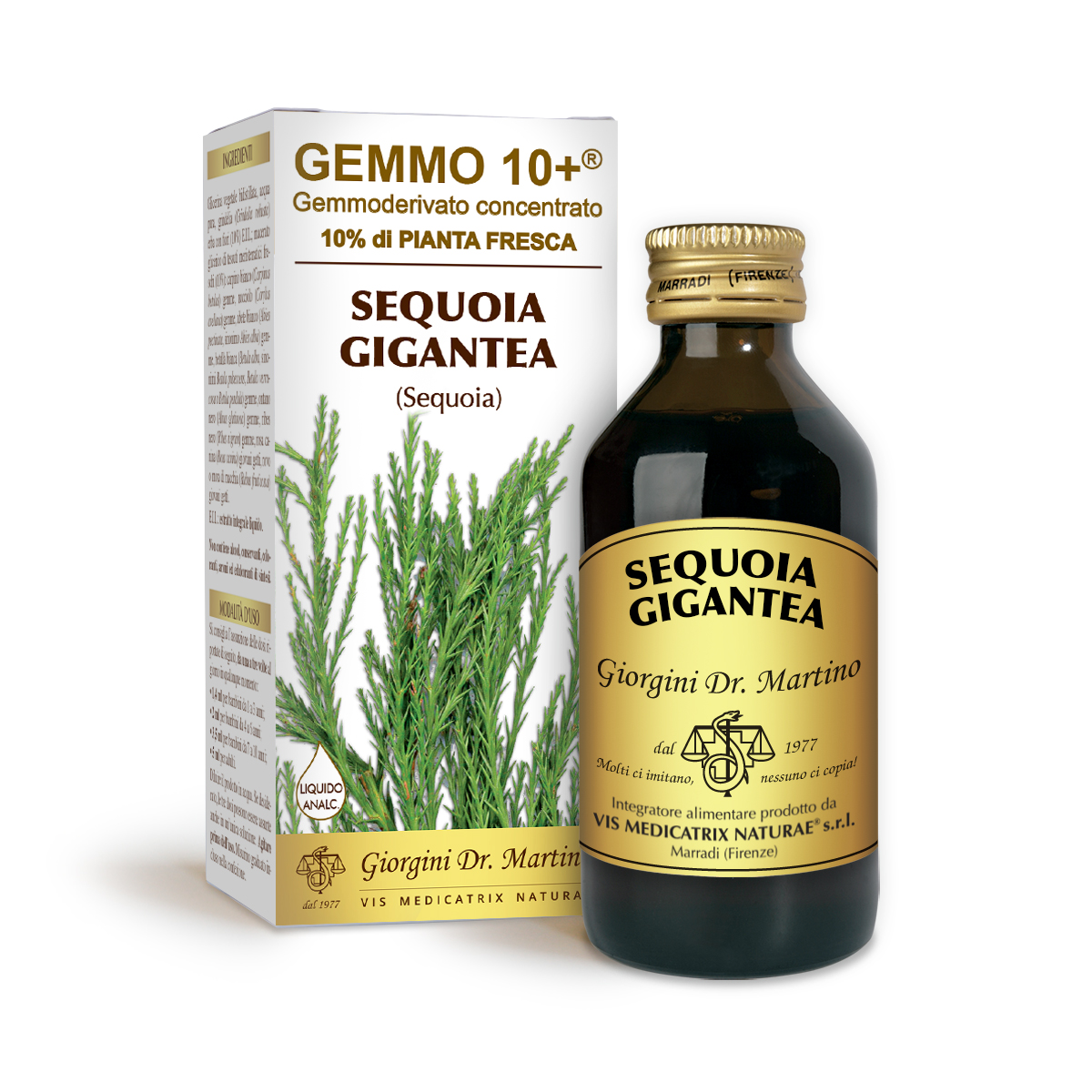 SEQUOIA 100ML ANALCOLICO GEMMO 10+