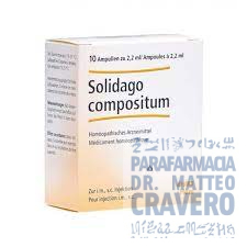 SOLIDAGO Compositum 10 fiale 2,2ml HEEL