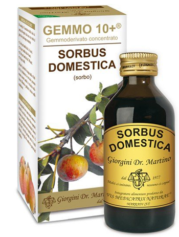 SORBO ANALCOLICO 100ml GEMMO 10+