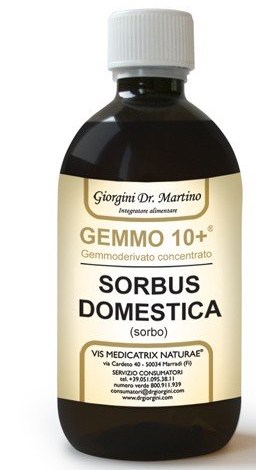 SORBO ANALCOLICO DA 500ml GEMMO 10+