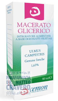 Ulmus Campestris 60mL