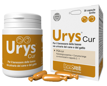 Urys Cur 30 capsule