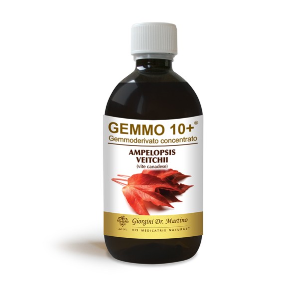 VITE CANADESE 500ML LIQUIDO ANALCOLICO GEMMO10+