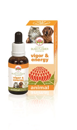 Australian Bush Flower Vigor & Energy