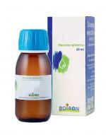 ALNUS GLUTINOSA GEMME 60ml MG