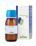 BETULA VERRUCOSA GEMME 60ml MACERATO GLICERICO