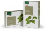 BETULLA 20 ampolle BIO 15ml