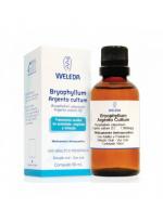 Bryophyllum Argento cultum D2 50ml Gocce