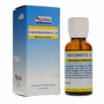 ENDOCRINOTOX 17 30ml goce