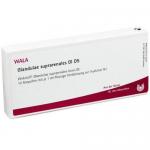 GLANDULA THYREOIDEA Gl D5 10 Fiale WALA
