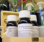 LVS 74S Erygium Campestre Compositum