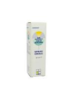 NOMABIT STAR OF BETHLEHEM 20 ml