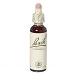 OLIVE Bach Original 20ml