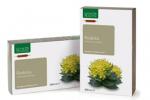 RODIOLA BIO 20 ampolle 15ml