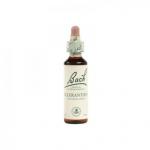 SCLERANTHUS Bach Original 20ml