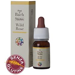 WILD ROSE GUN Gocce 10ml