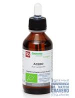 ACERO MACERATO GLICERICO 100ML BIO
