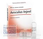 AESCULUS Injeel 10 fiale 1,1ml Heel