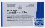 Aurum D10 - Ferrum sidereum D10 fiale
