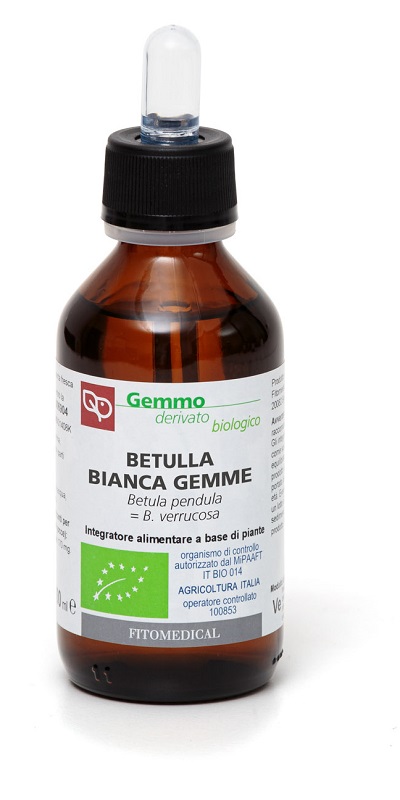 BETULLA GEMME MACERATO GLICERICO 100ML BIO