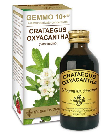BIANCOSPINO 100ML ANALCOOLICO GEMMODERIVATO