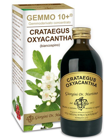 BIANCOSPINO 200ML ANALCOOLICO GEMMODERIVATO