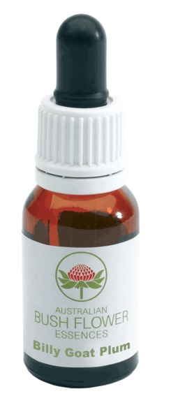 Australian Bush Flower Billy Goat Plum