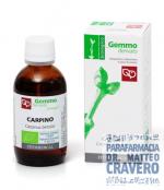 CARPINO MACERATO GLICERICO 50ML 